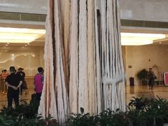 -兴芮温泉度假区