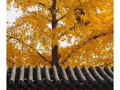 -北京石刻艺术博物馆(五塔寺)