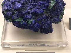 -中国地质博物馆