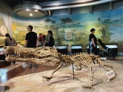 -自贡恐龙博物馆