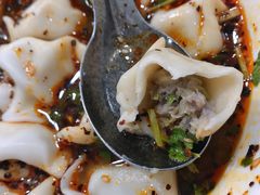 酸汤牛肉水饺-回坊马二饺子馆