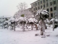 -曲阜师范大学(曲阜校区)