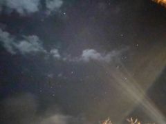 -黑河国家森林公园