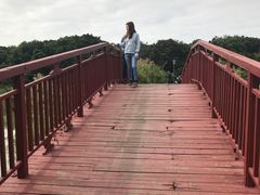 -鹤之洲湿地公园