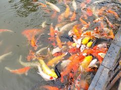 -珠海圆明新园