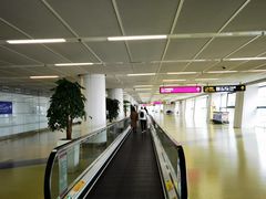 -郑州新郑国际机场-T2航站楼