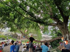 -成都市活水公园