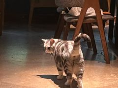 -咖法森林·咖啡  酒吧(天河店)