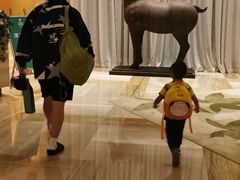 -南阳建业森林半岛假日酒店