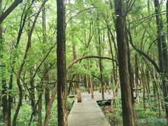 -南昌动物园