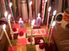 -维尔纳斯·生日蛋糕动物奶油冰淇淋蛋糕(人大店)