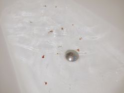 -珠海瑞吉酒店·铱瑞水疗