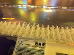 -佛山科学馆