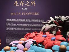 -德基艺术博物馆