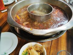 -金鼎雪山牦牛杂火锅(理县总店)