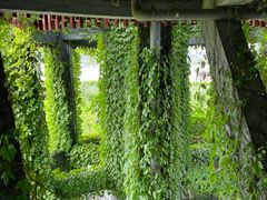 -芒洲湿地公园
