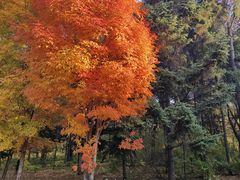 -长春市南湖公园