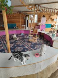 -萌宠亲子动物乐园(槐房万达店)