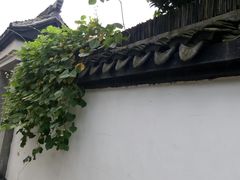 -丝绸小镇荻港古村
