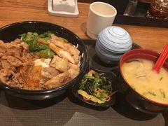 -吉野家(红博中央公园店)