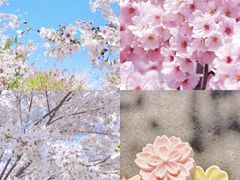 -古柏渡飞黄旅游区