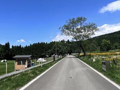 -武陵山森林公园