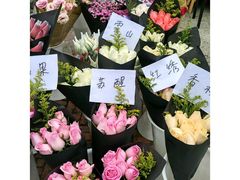 -三圣花乡旅游区