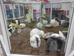 -欧尚超市苏州店停车场(金鸡湖路店)