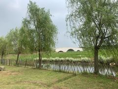 -西京湾花海