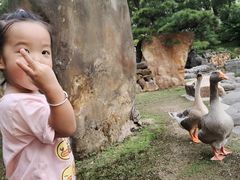 -华雅花园大酒店