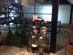 -植物学家的女儿(北马道巷店)