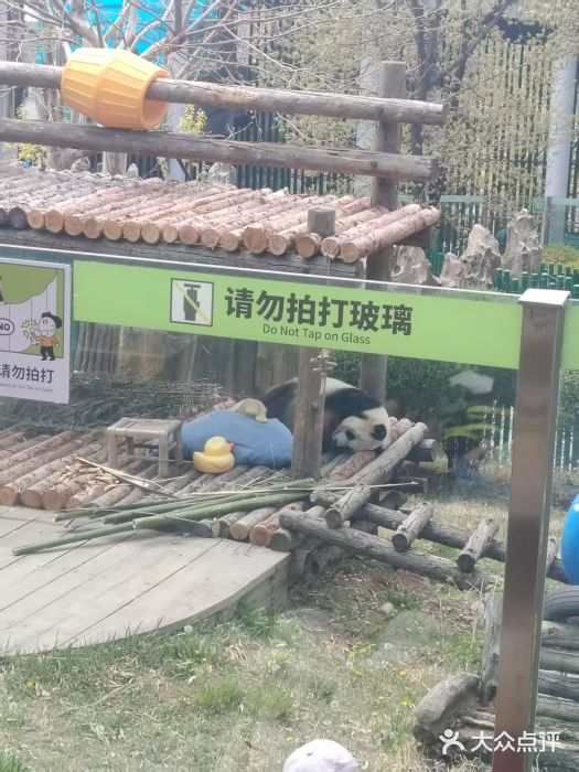 大连森林动物园图片