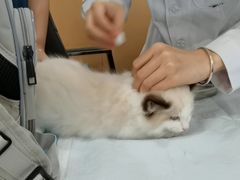 -贝利宠物医院·骨科·眼科·肿瘤转诊中心(南坪诊疗中心)