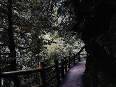 -西岭雪山大飞水景区