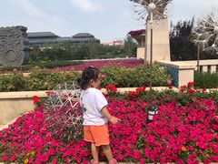 -秦皇岛阿尔卡迪亚滨海度假酒店