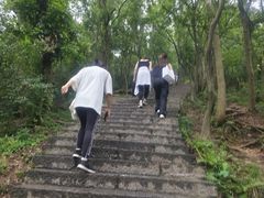 -紫金山山顶公园