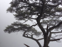 大明山-大明山自然探索公园