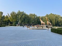 -北京野生动物园
