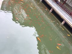 -龙潭水乡