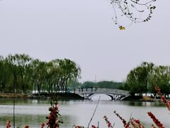 -大兴滨河森林公园