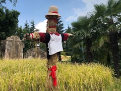 -云南民族村