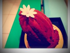iphone_upload_pic-BLACKSWAN黑天鹅(环球店)