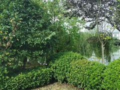 -洪湖悦兮半岛国际温泉度假村
