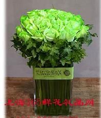 -静岸花卉园艺(三星坊店)