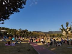 -牛岗山公园