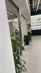-蚂蚁造型俱乐部