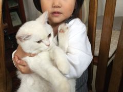-懒鱼时光馆(沙坪坝店)