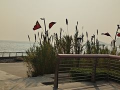 -深圳湾公园(南山区)
