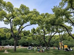 -苏州上方山国家森林公园