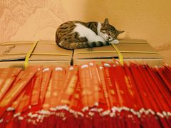 -龙华素斋(龙华路店)